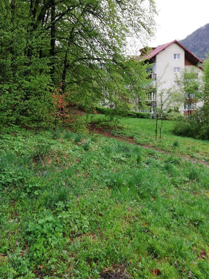 Rustic & Romantic Apartment Brasov Ngoại thất bức ảnh