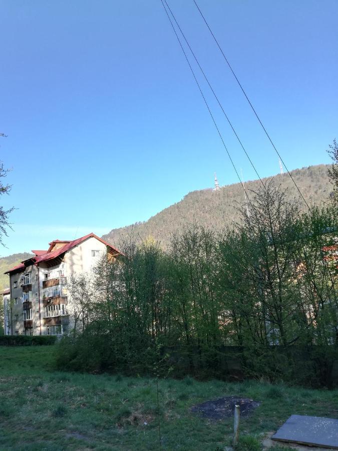 Rustic & Romantic Apartment Brasov Ngoại thất bức ảnh