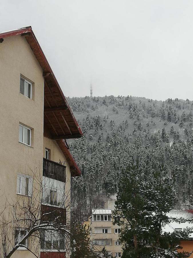 Rustic & Romantic Apartment Brasov Ngoại thất bức ảnh