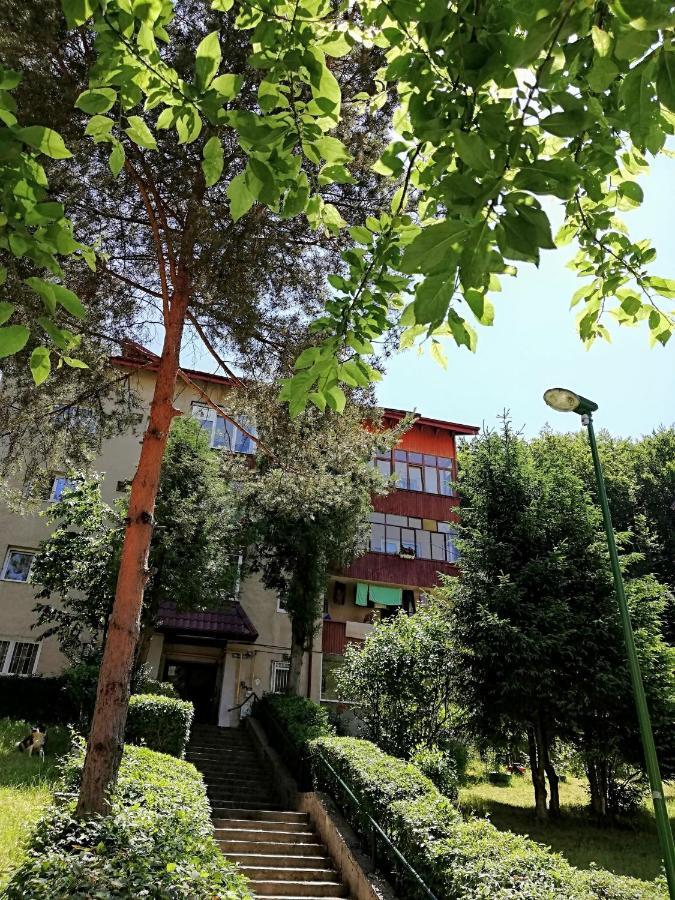 Rustic & Romantic Apartment Brasov Ngoại thất bức ảnh